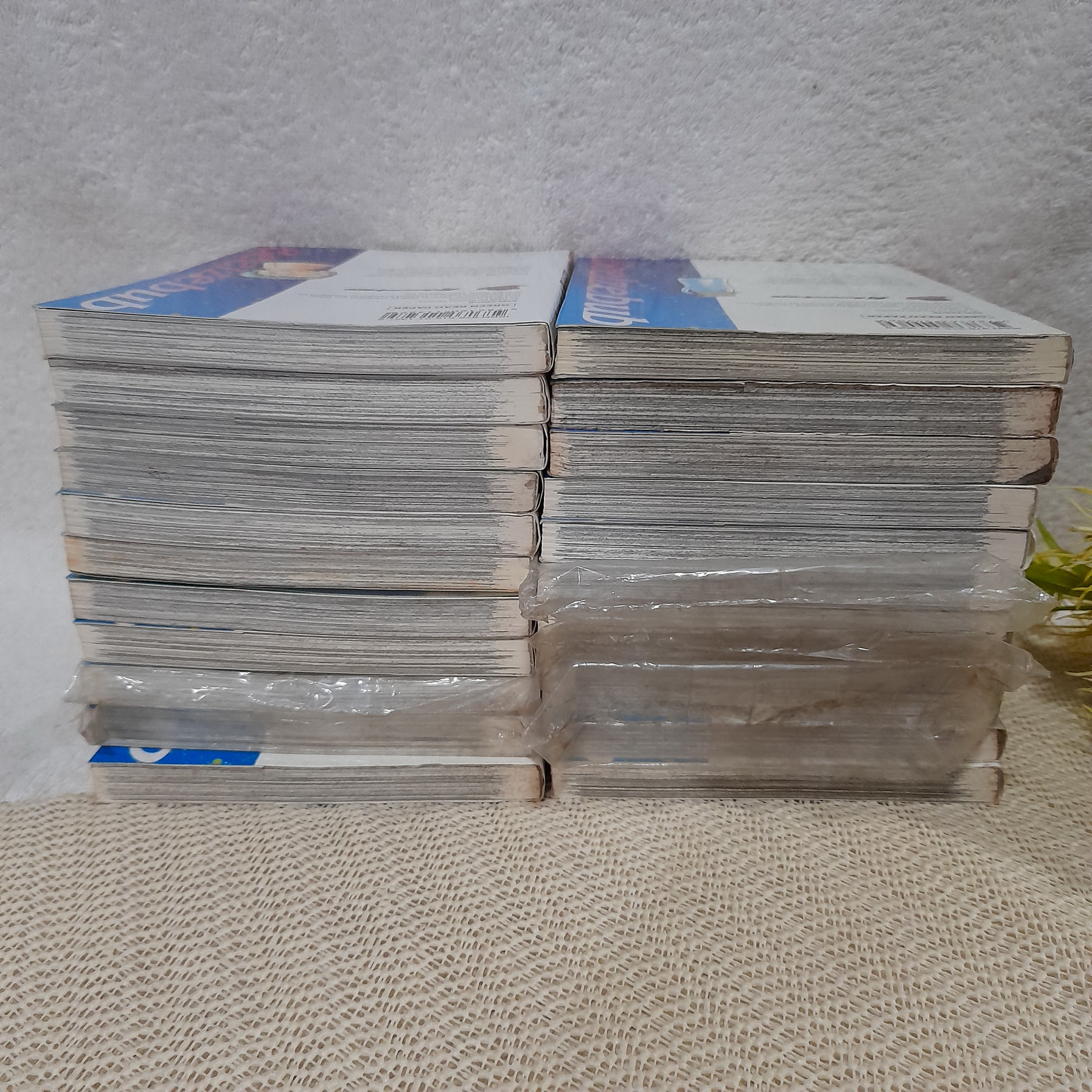 BEELZEBUB เด็กพันธุ์นรกสั่งลุย 1-25 ไม่จบ / * ขาดเล่ม 12,14,23,26-28