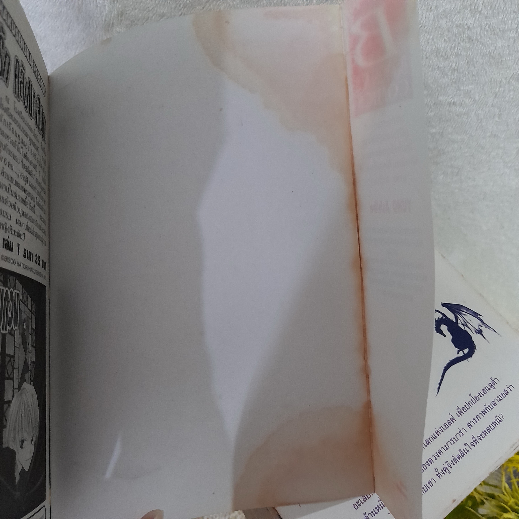 Crystal Dragon 1-25 (ไม่จบ) / Yuho Ashibe