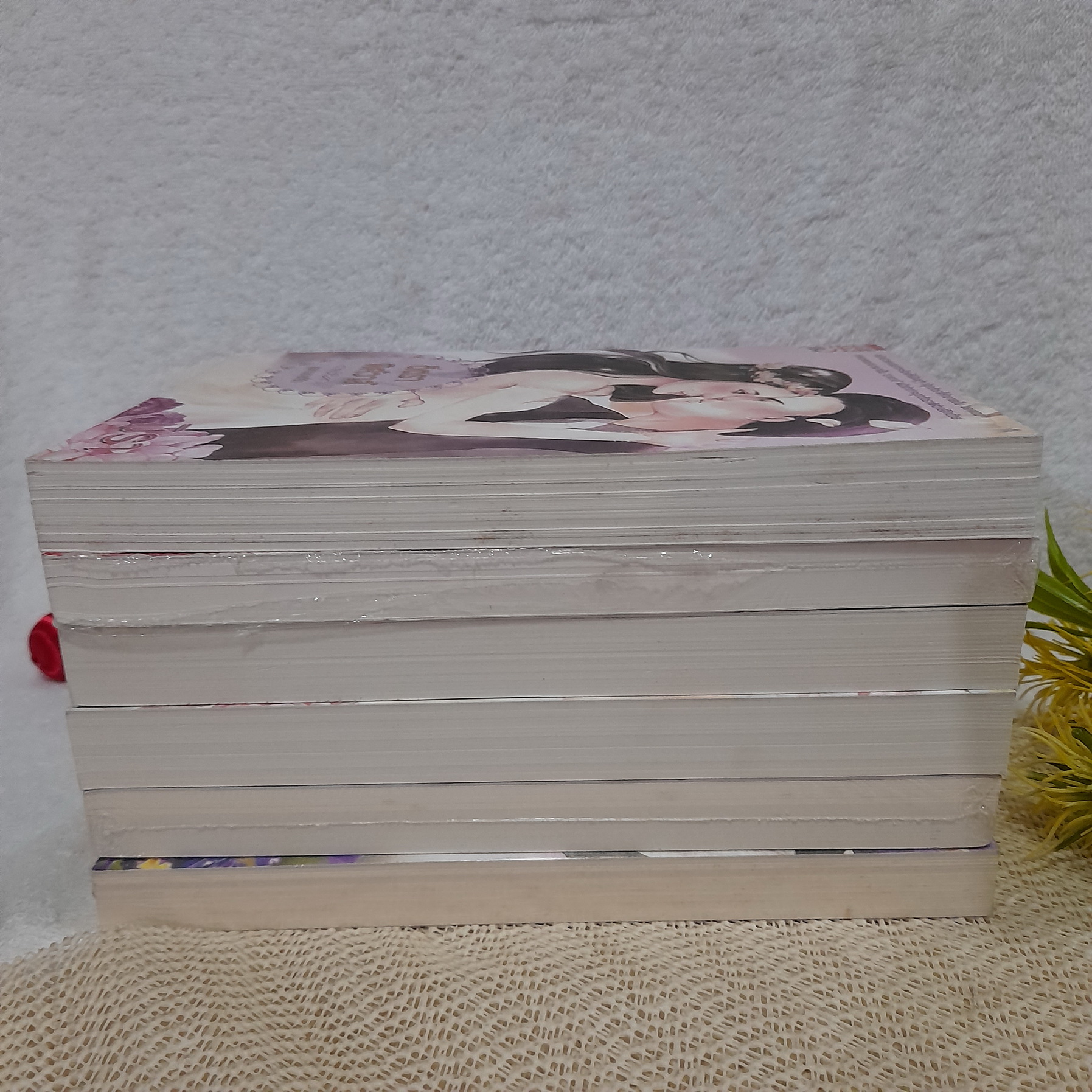 นิยายชุด ท่านชายที่รัก 6 เล่ม / มิรา (เพลิงต้องทัณฑ์ / พ่ายสิเน่หา / เดิมพันซ้อนร้าย / ตีตราพิศวาส / พรางปรารถนา / ปฏิญญาพยศ)