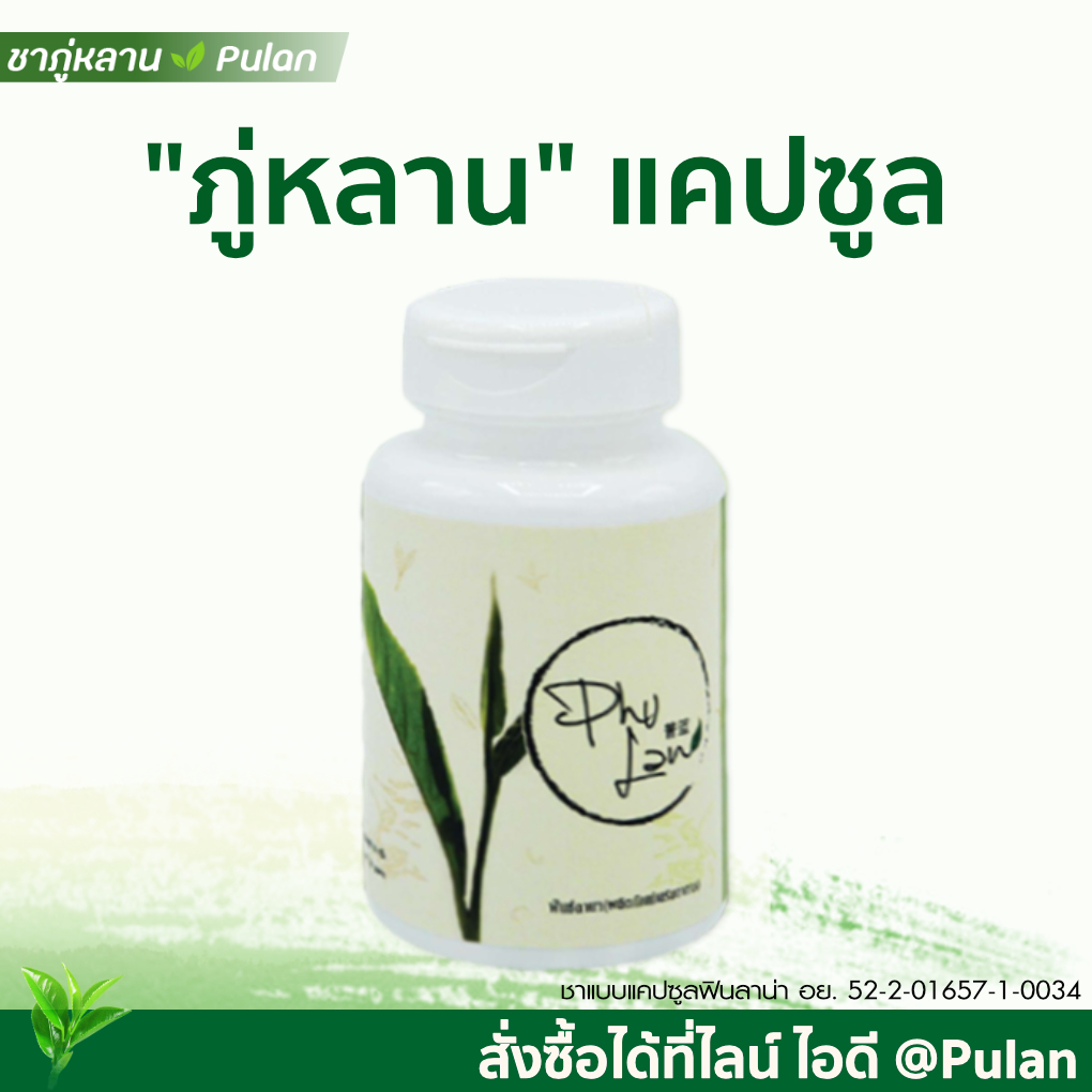 ชาภู่หลานแบบแคปซูล 1 กระปุก (60 แคปซูล)