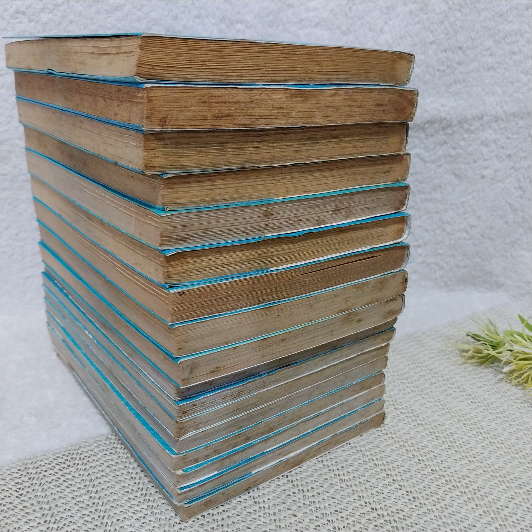 เสน่ห์สาวข้าวปั้น เล่ม 1-19 ไม่จบ / * ขาดเล่ม 20-23