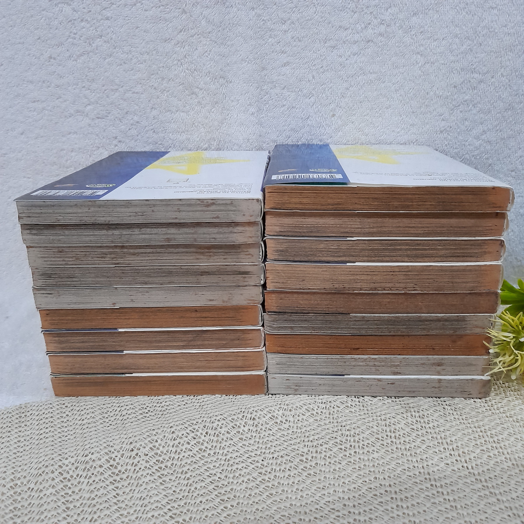 สำนักงานไขคดีสารพัดปีศาจของ มุเฮียว & โรซี่ 1-18 จบ