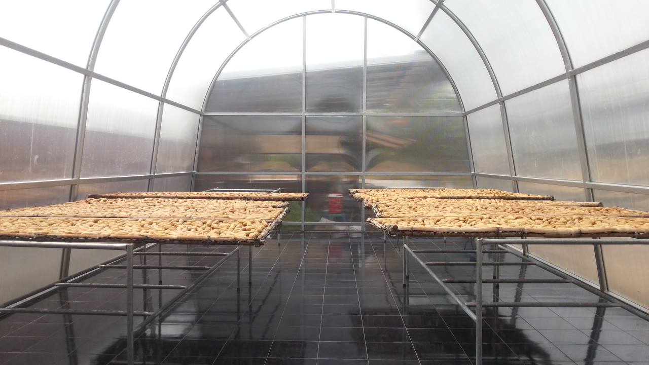 กล้วยตาก(กล้วยน้ำว้า)(200g.) กล้วยตากสังคม