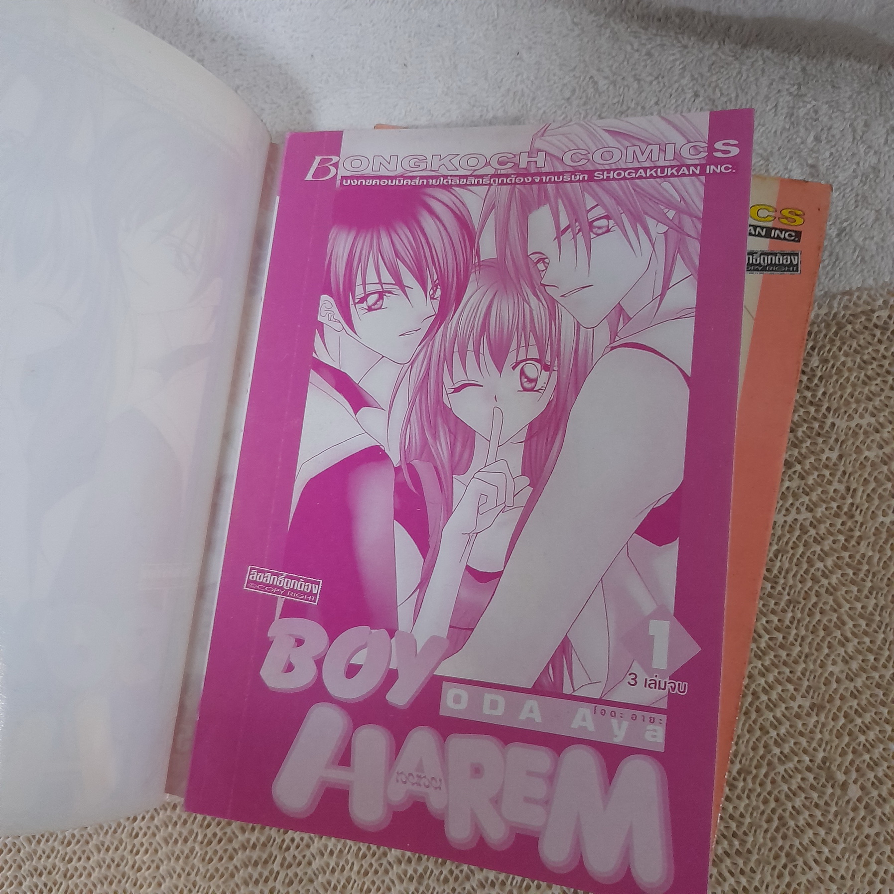 Boy Harem 1-3 จบ