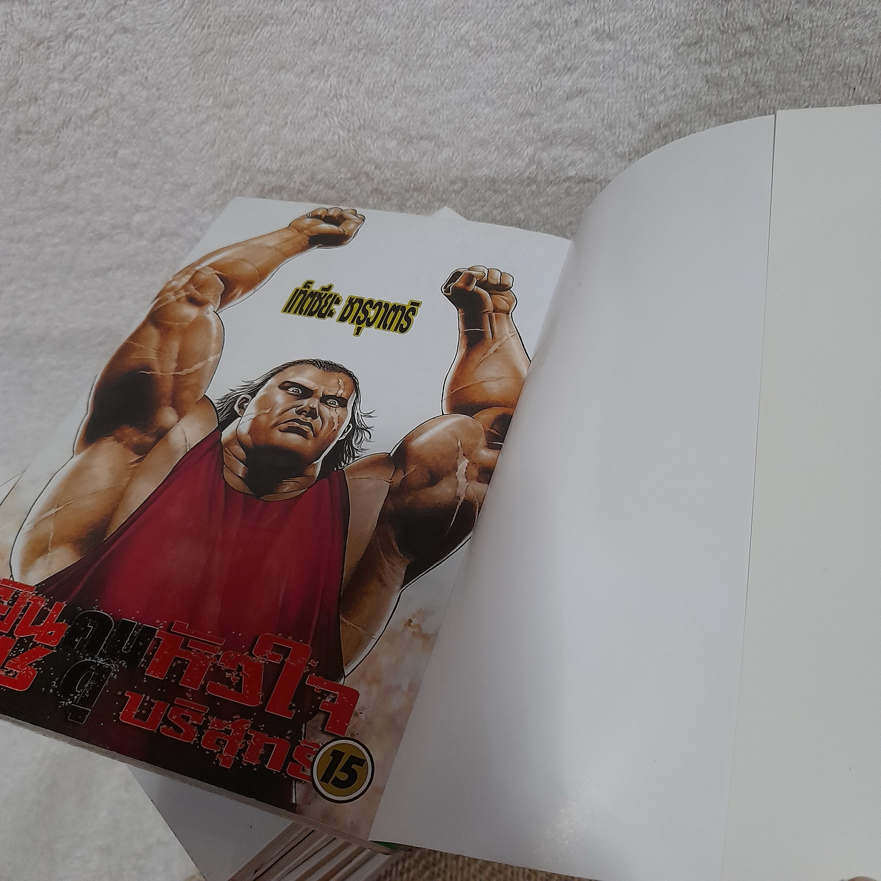 ยินเซ คนดุหัวใจบริสุทธิ์ เล่ม 1-15 จบ / * ขาดเล่ม 9,10