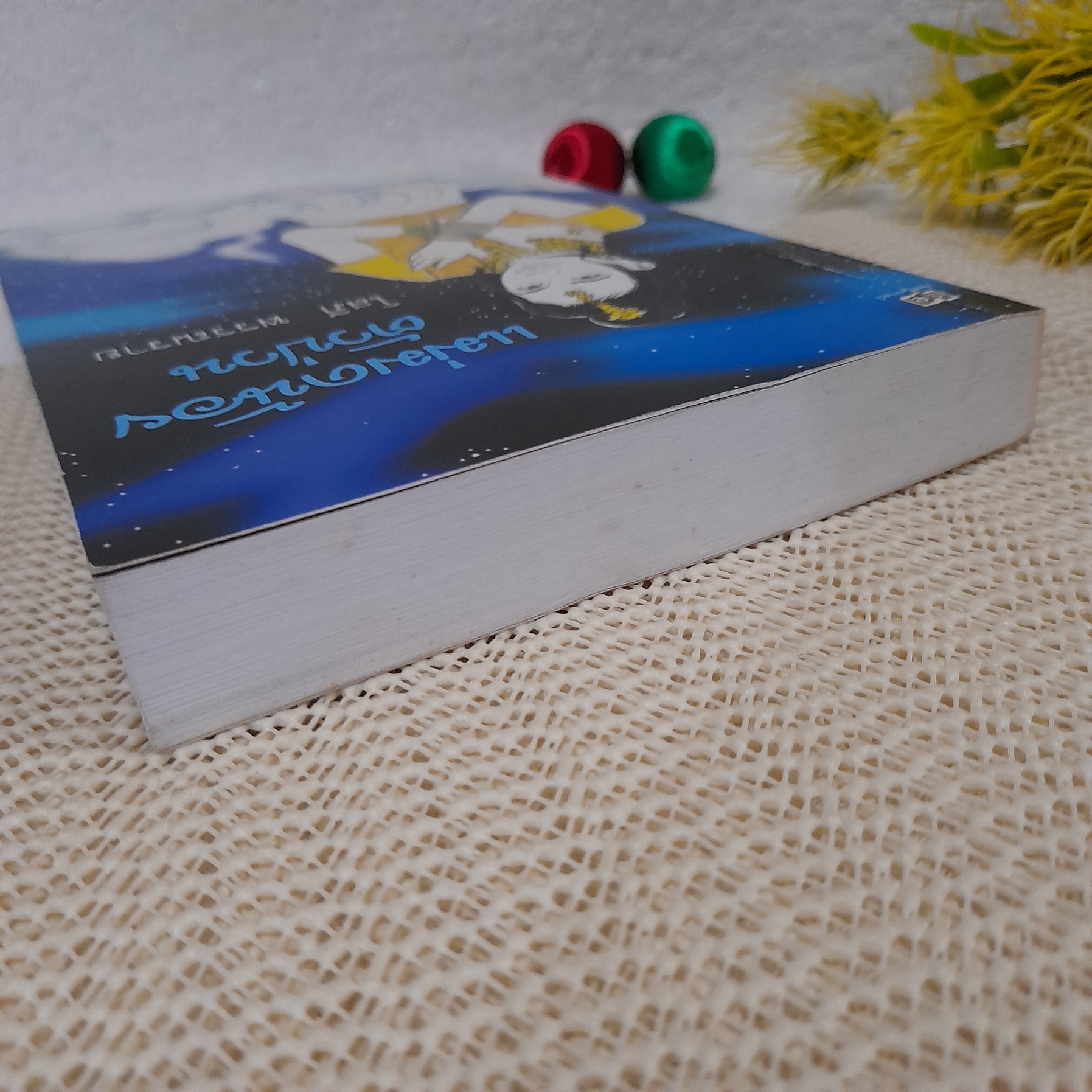 แม่มดน้อยตัวป่วน / โสภี พรรณราย