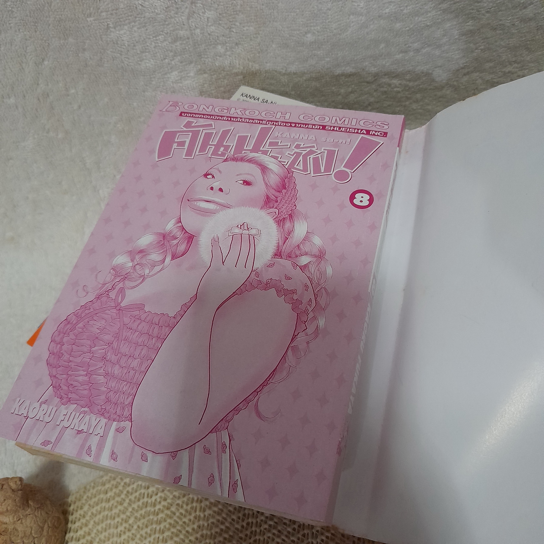 คันนะซัง! KANNA sa-n! 1-8 ไม่จบ / * ขาดเล่ม 9-13