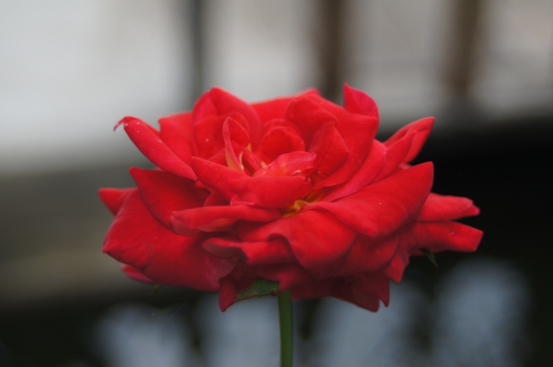 TOKINA SD 28-70MM.F3.5-4.5 MACRO PK MOUNT