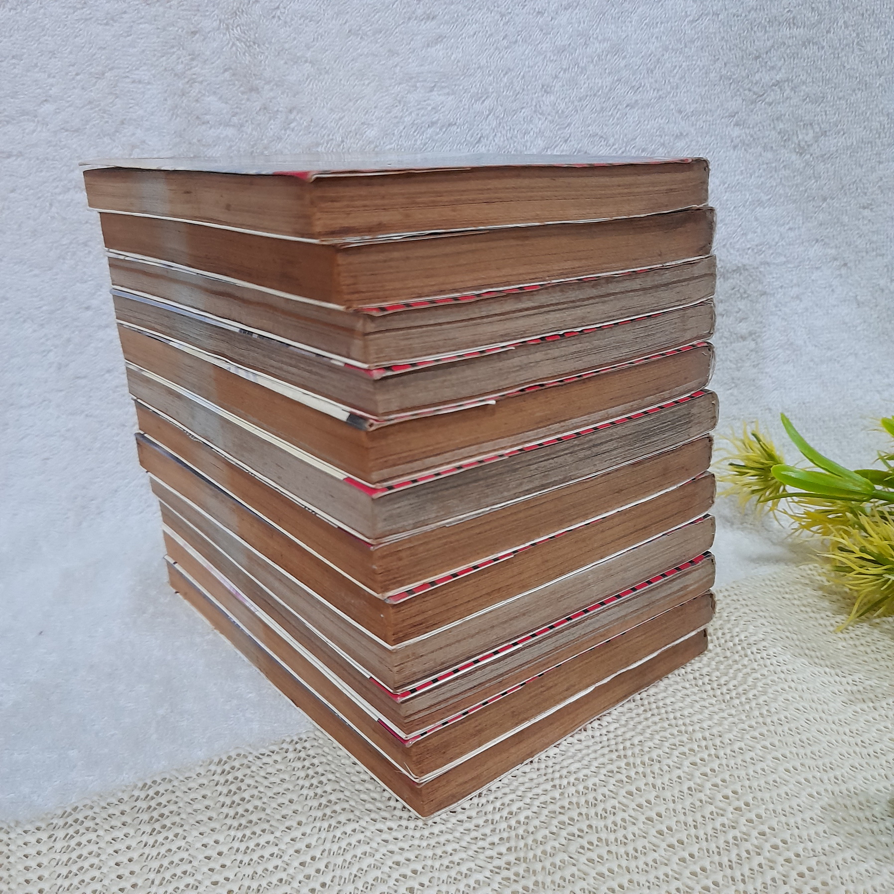 CIPHER 1-12 จบ / Minako Narita