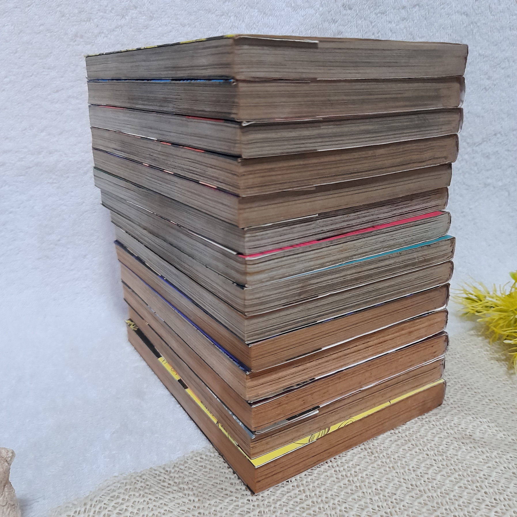 Shibatora ลางสังหาร 1-15 จบ