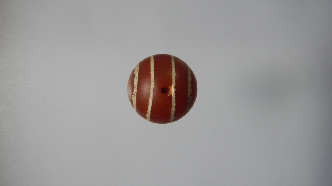 คาเนเลียนเขียนสีเม็ดที่3(ขายแล้ว)