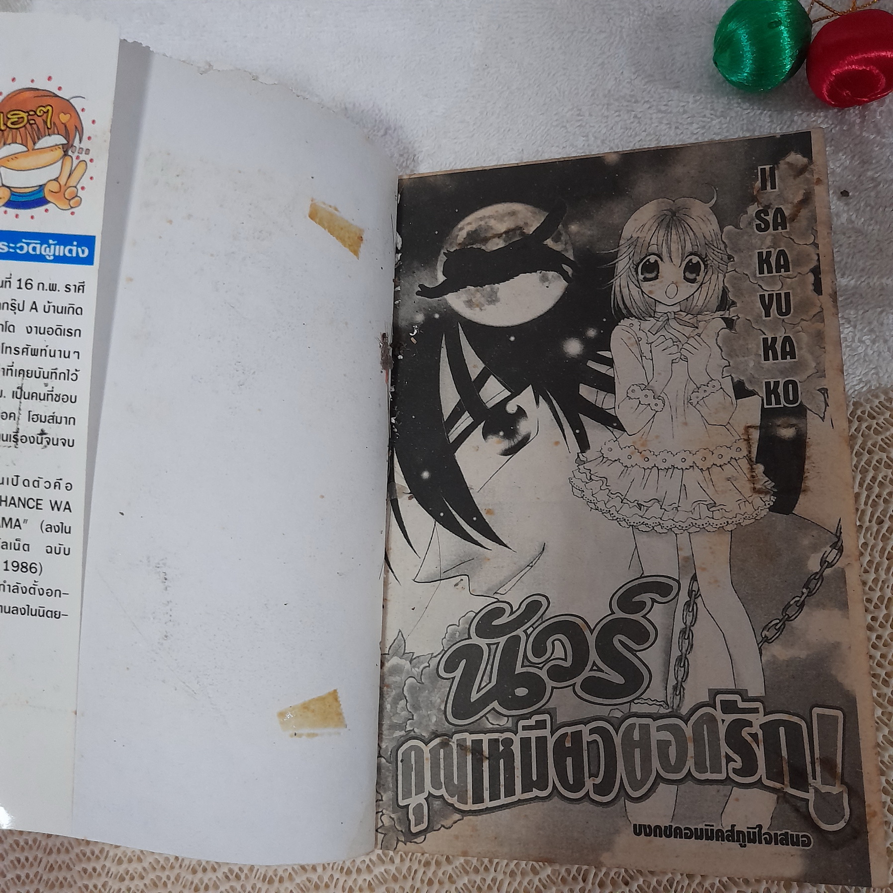 นัวร์ คุณเหมียวยอดรัก / Iisaka Yukako