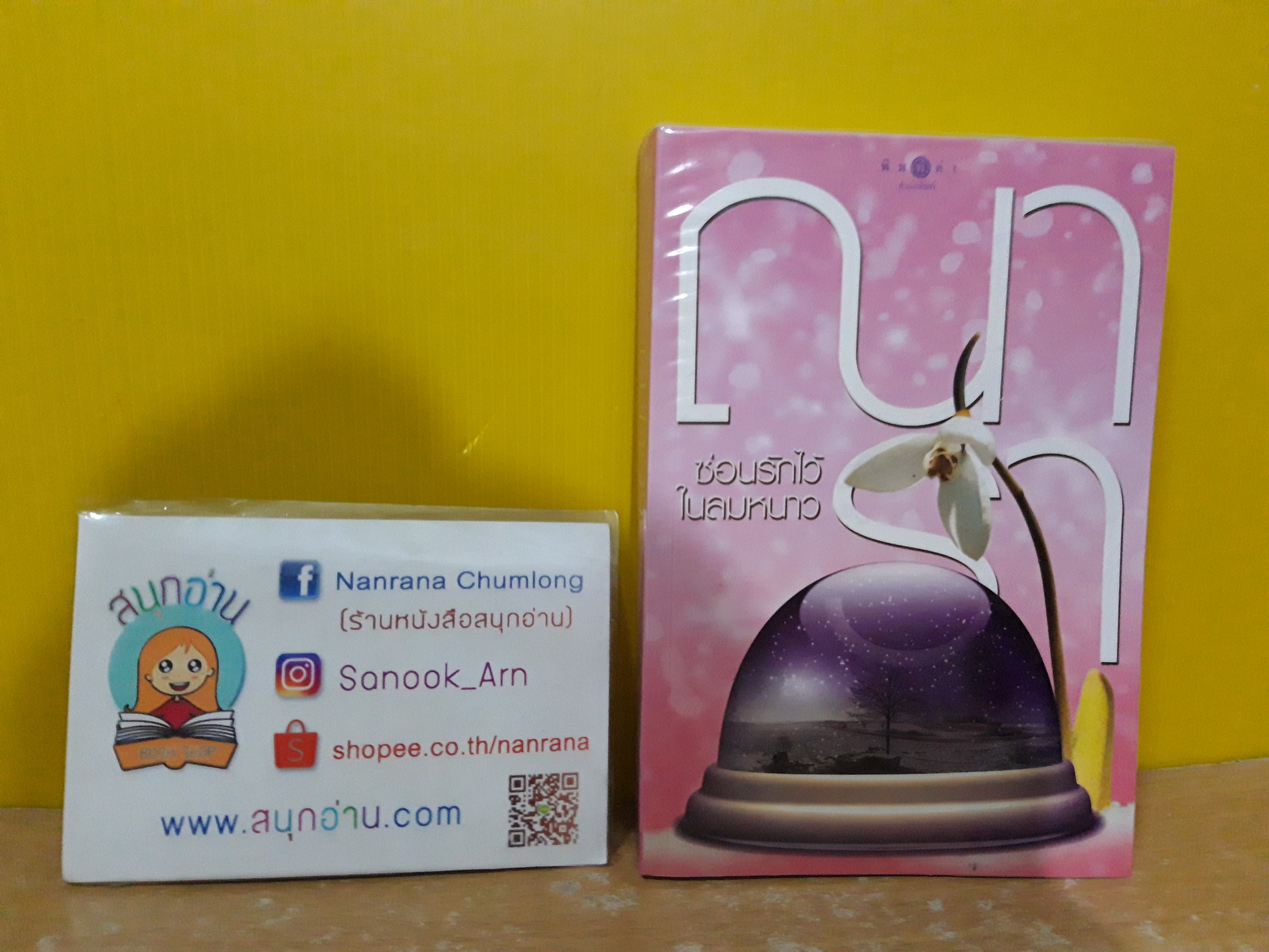 ซ่อนรักไว้ในลมหนาว / ณารา
