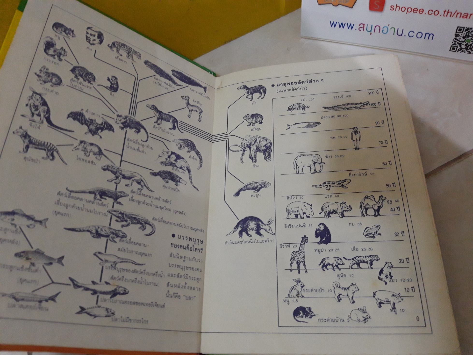 การ์ตูนความรู้ชุด วิทยาศาสตร์อ่านสนุก : ร่างกายของเรา