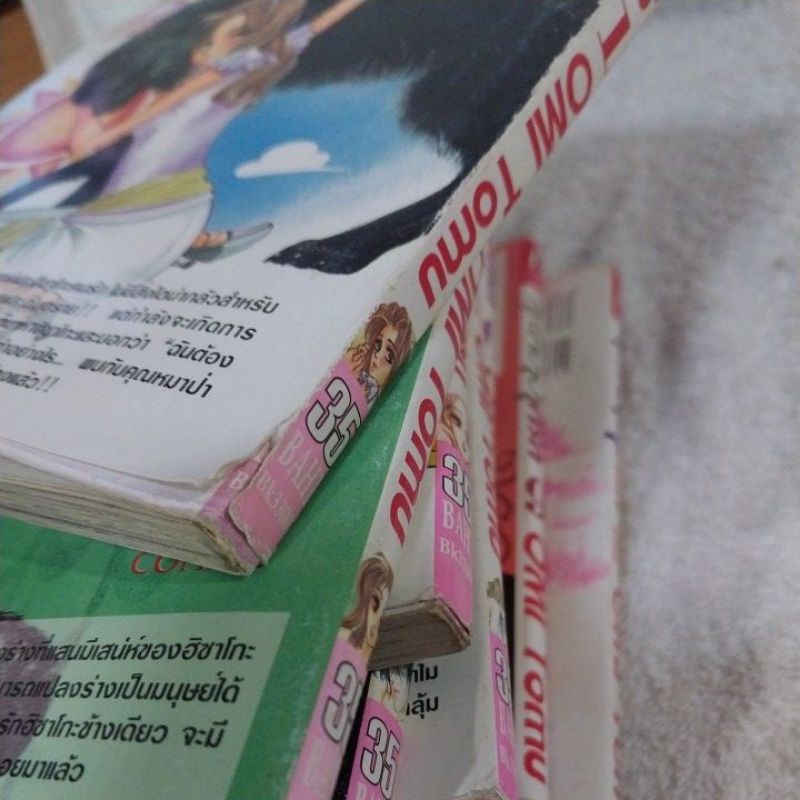 คุณหมาป่าที่รัก 1-10 จบ + ภาคพิเศษ / Omi Tomu