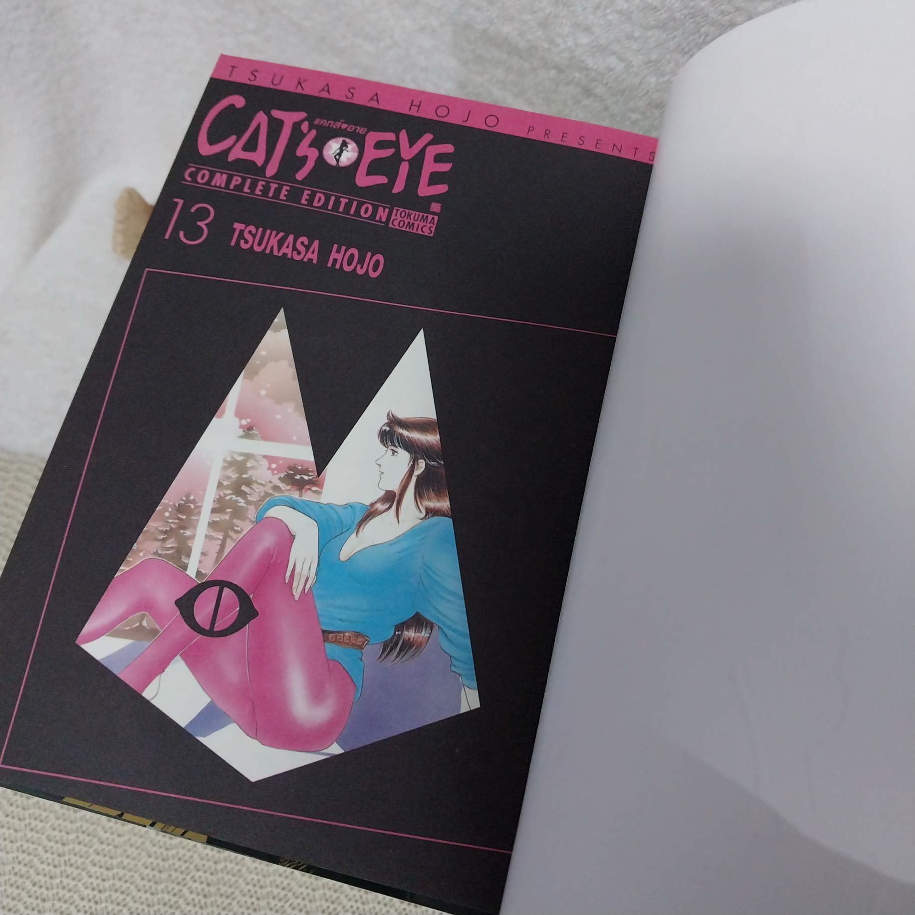 CAT's EYE 1-15 จบ