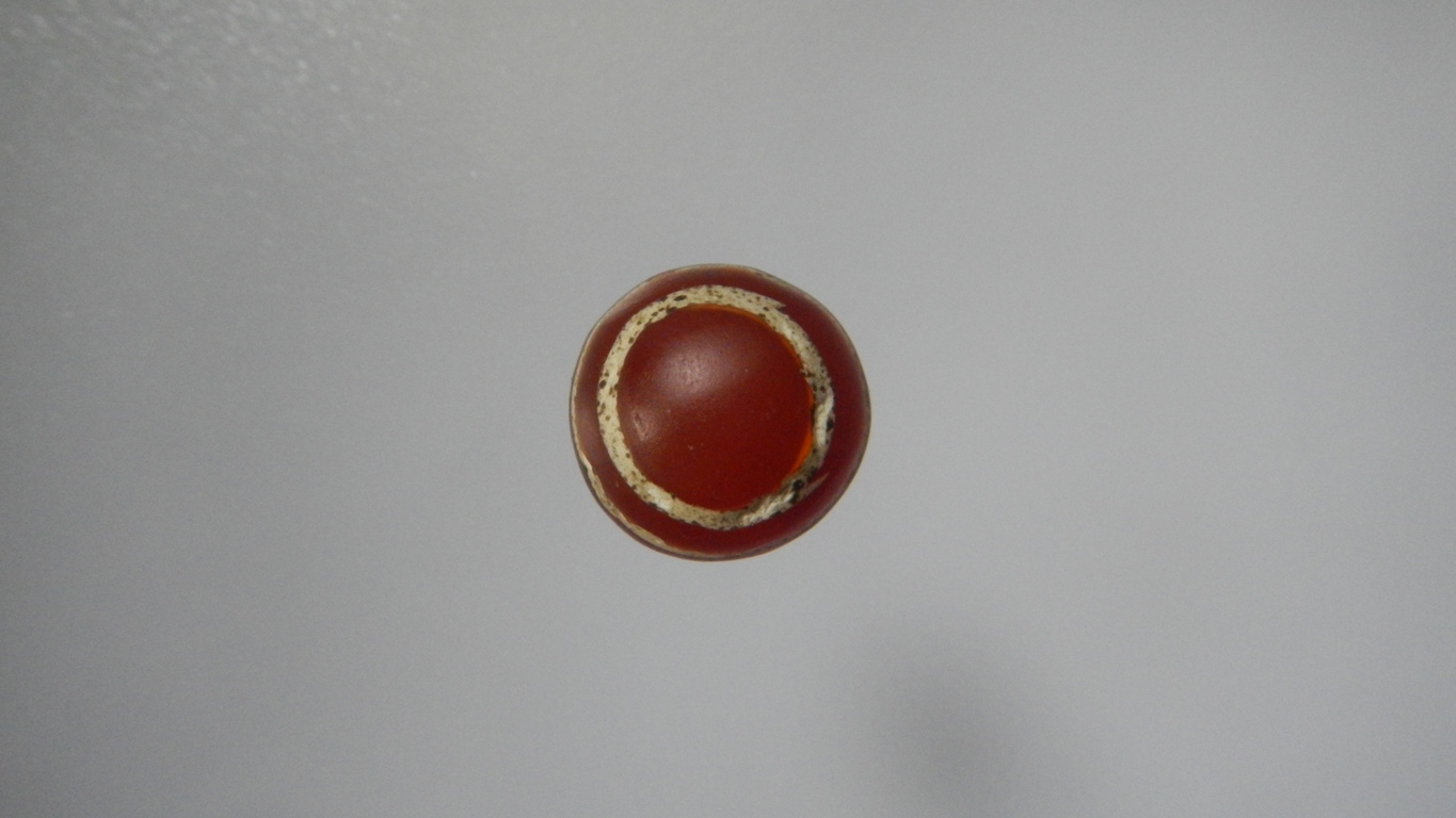 คาเนเลียนเขียนสีเม็ดที่2(ขายแล้ว)