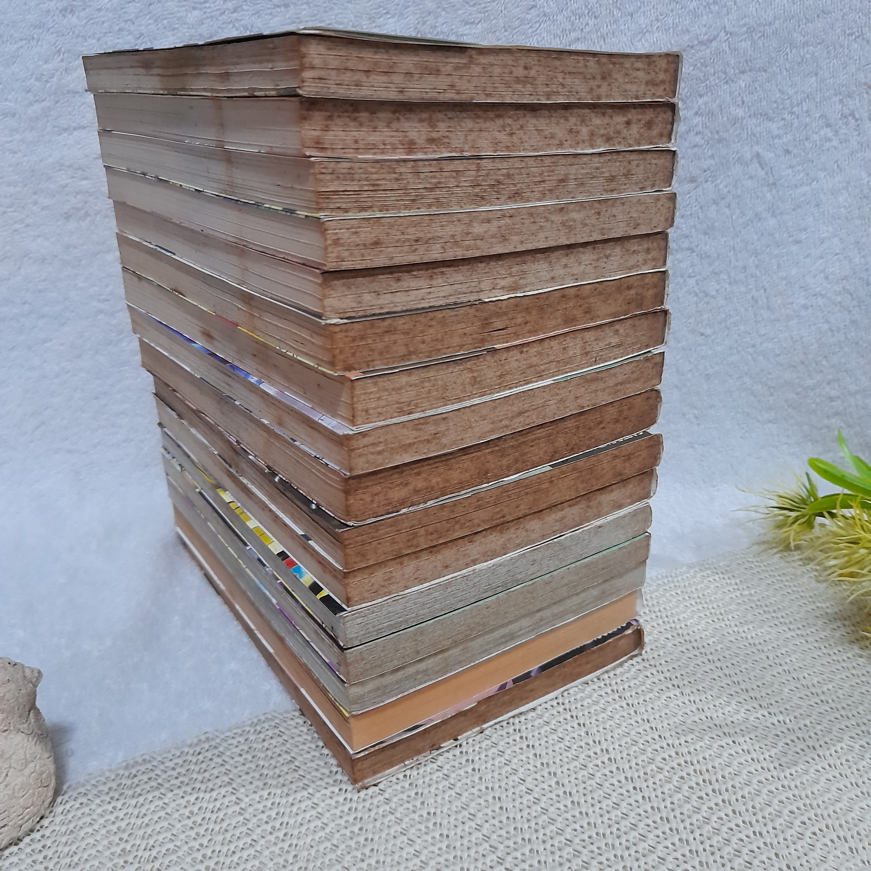 Holiday Howl 1-15,17 ไม่จบ