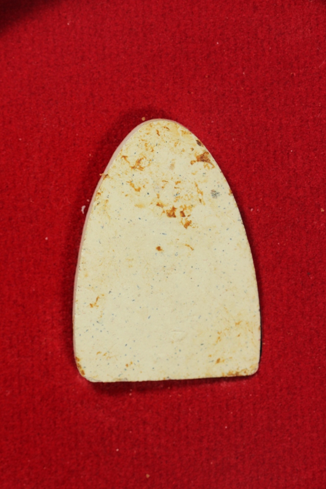 สมเด็จกลีบบัวร้อยปี สมเด็จพระญาณสังวร สมเด็จพระสัฆราช