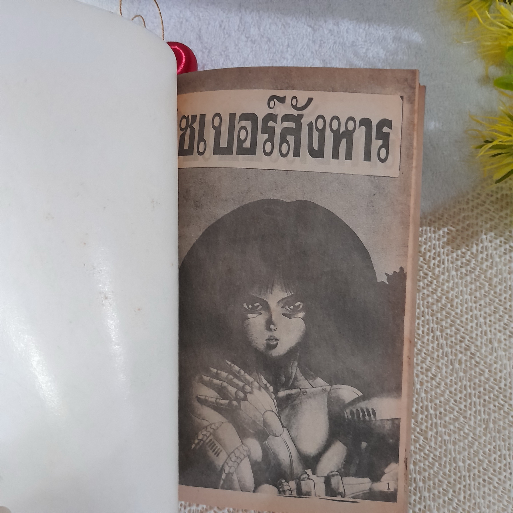ไซเบอร์สังหาร เล่มเดียวจบ