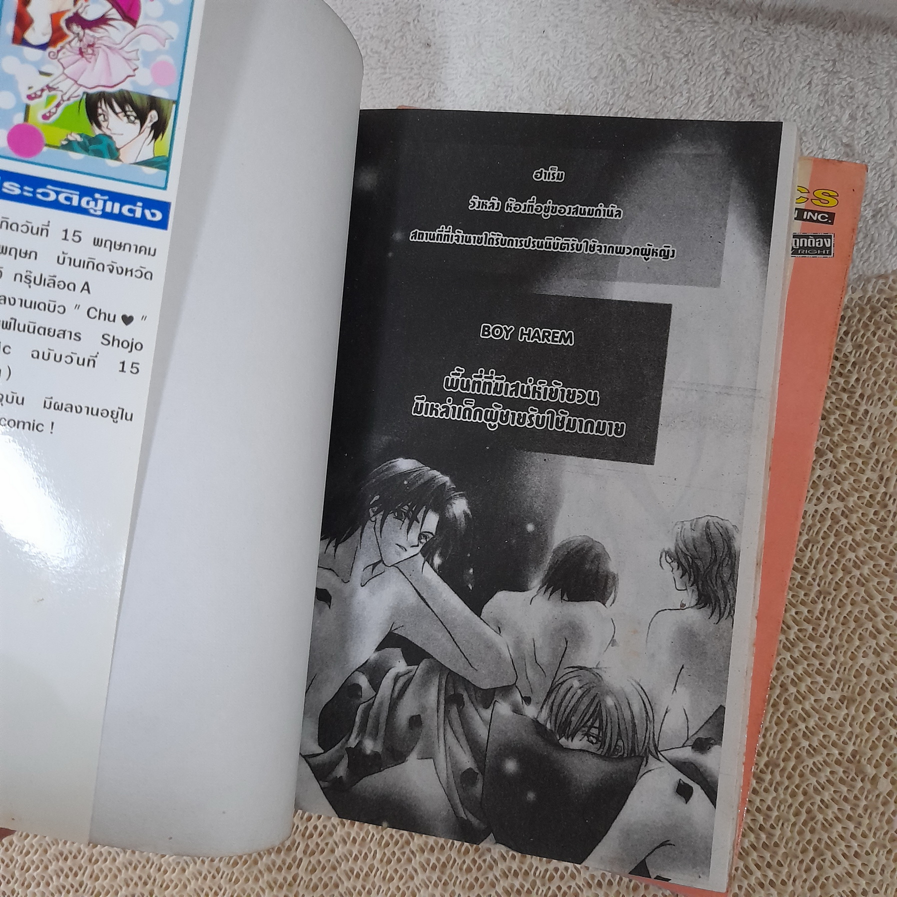 Boy Harem 1-3 จบ