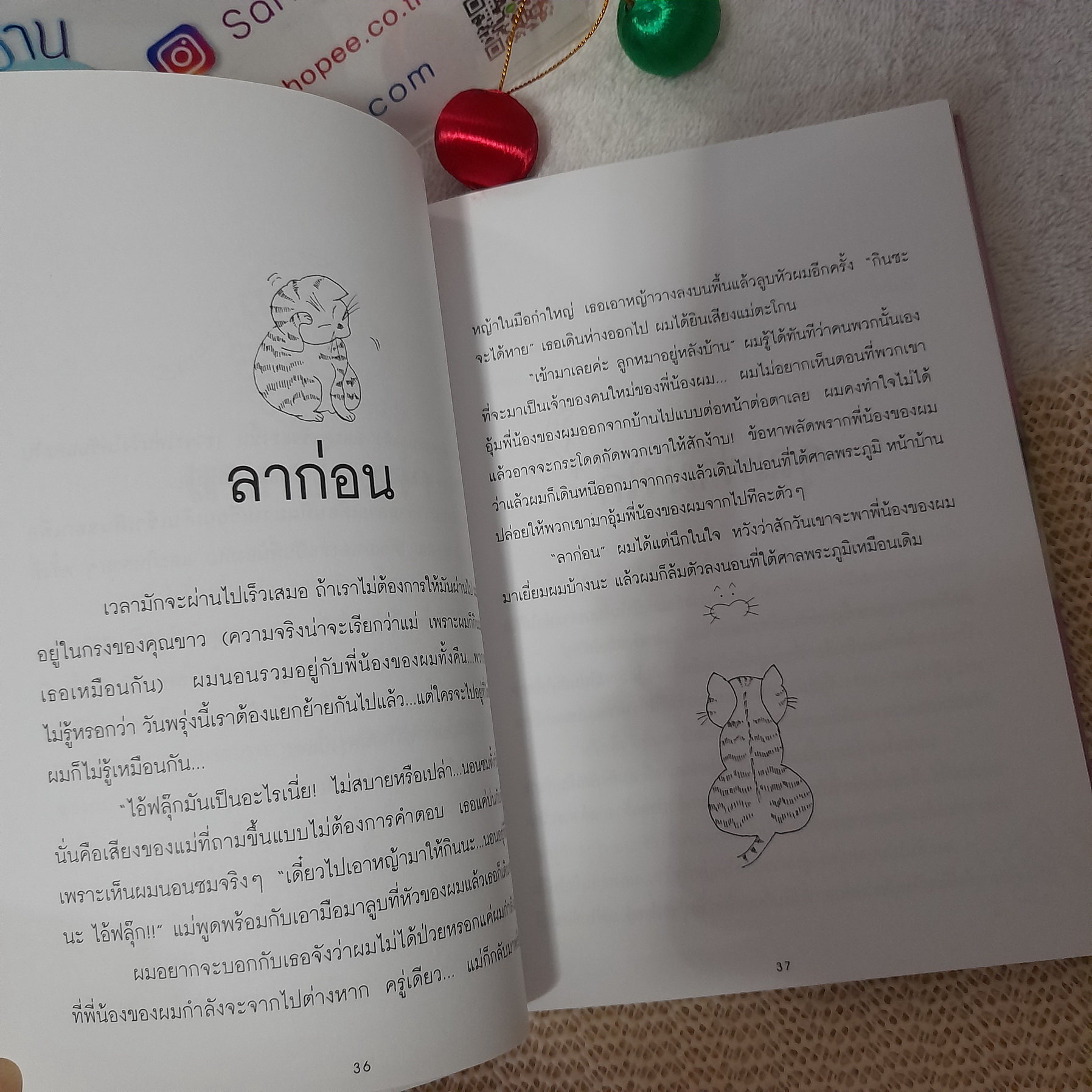 ฟลุ๊ก แมวของตะแง้ว