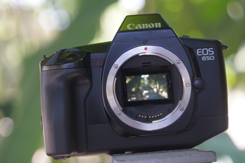CANON EOS 650 CANON ZOOM LENS EF100-200MM.F4.5A