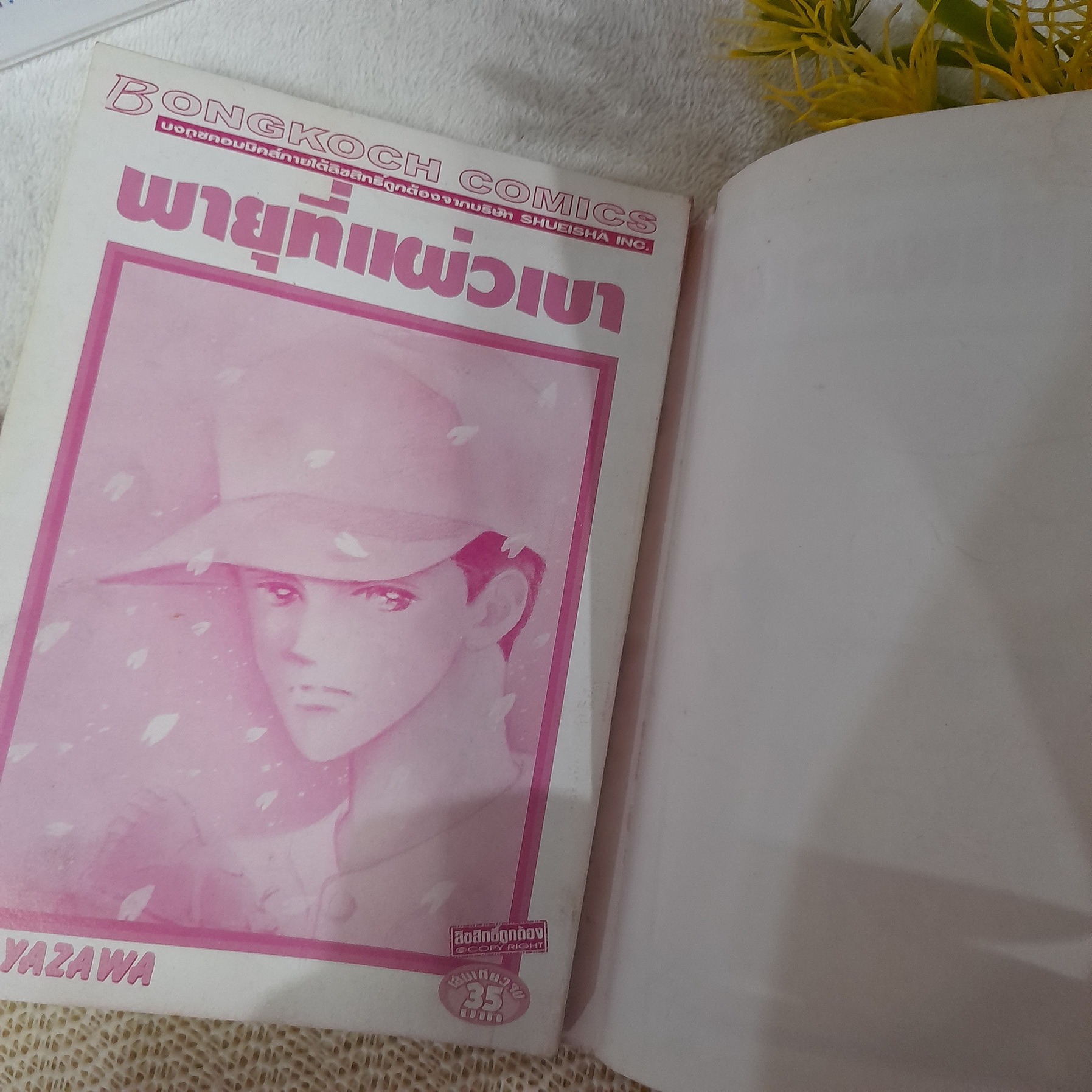 พายุที่แผ่วเบา / Ai Yazawa