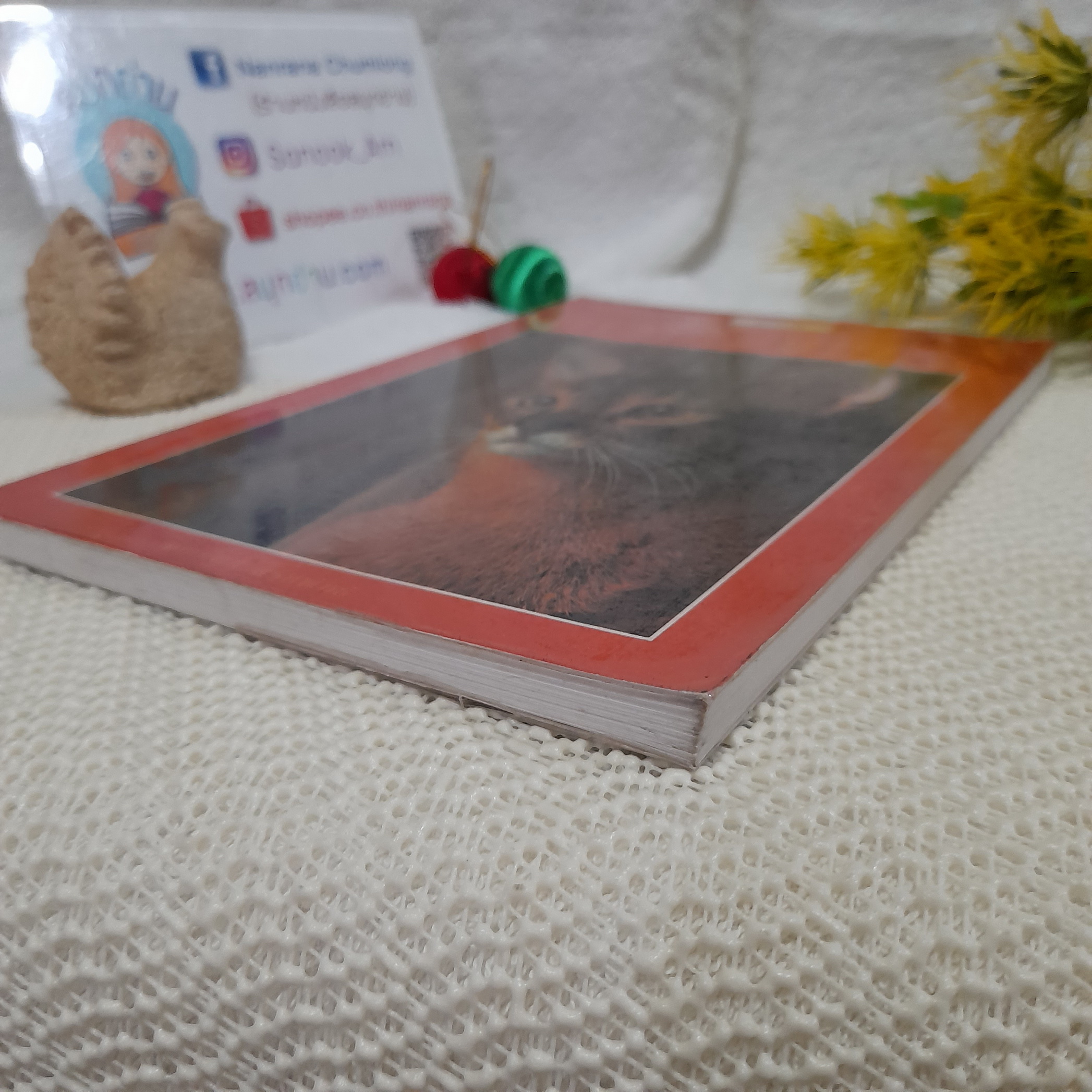 การเลี้ยงแมว / บัณฑิตย์ สุริยพันธ์