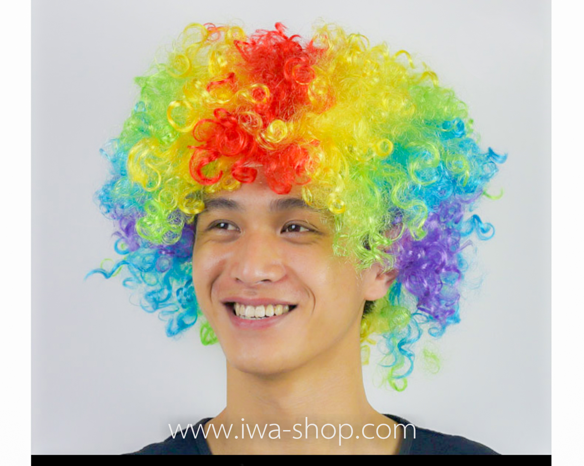 วิกผมหัวฟู วิกผมแฟนซี วิกผมปารตี้ วิกผมคอสเพลย์ วิกผมสี รุ้ง