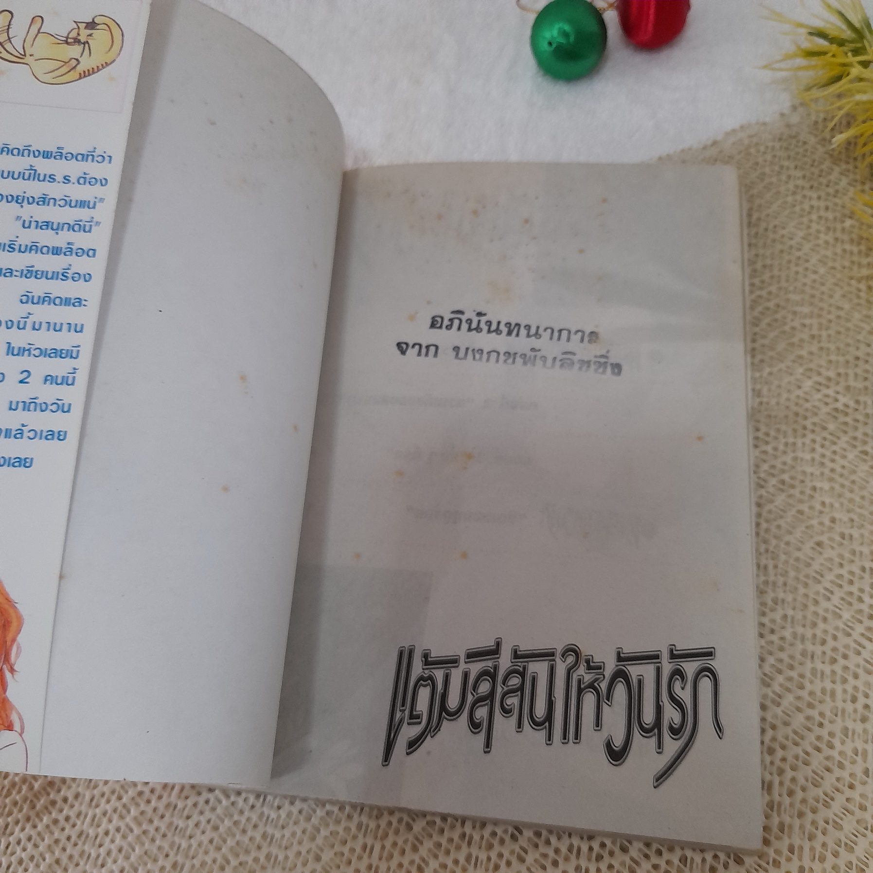 แต้มสีสันให้วันรัก