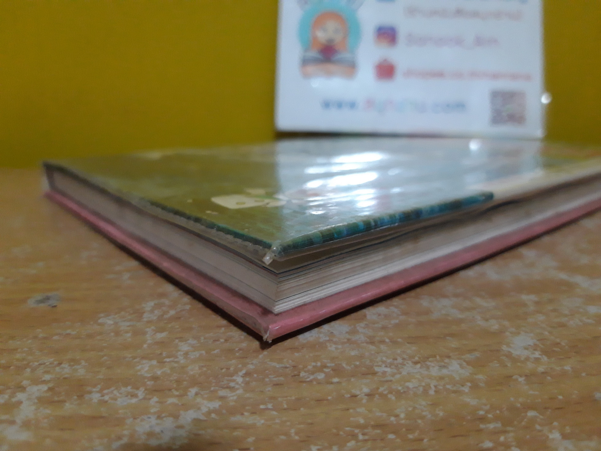 รู้รอบตัวแสนสนุก 8 : ขั้วโลกเหลือ-ขั้วโลกใต้