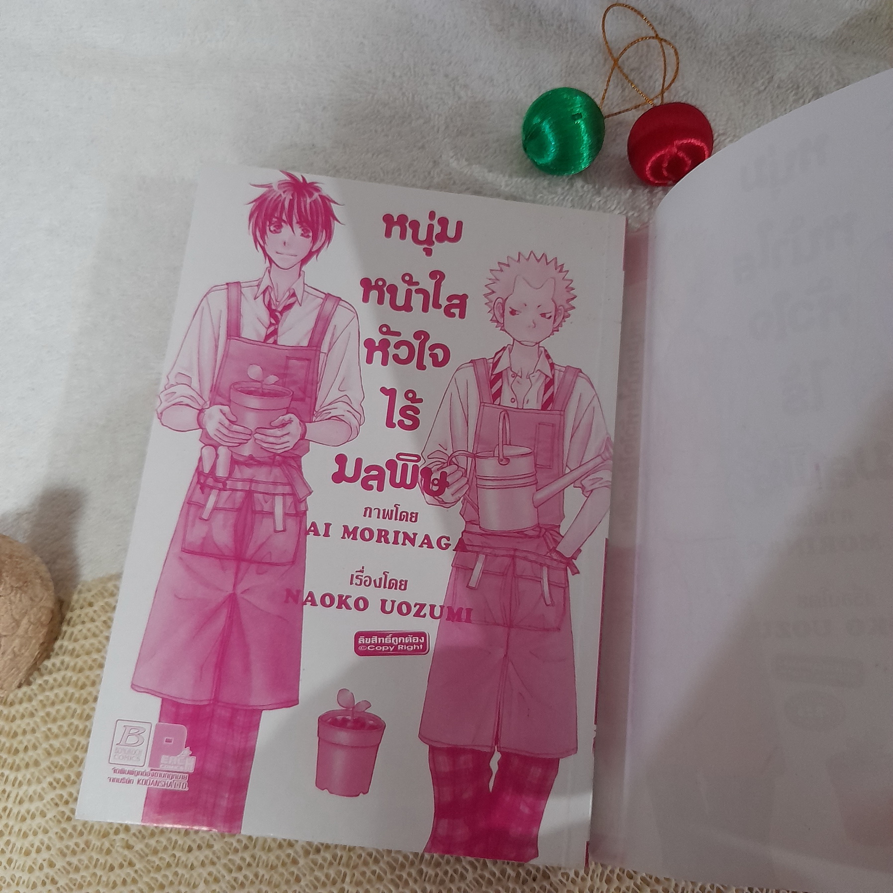 หนุ่มหน้าใสหัวใจไร้มลพิษ / Ai Morinaga