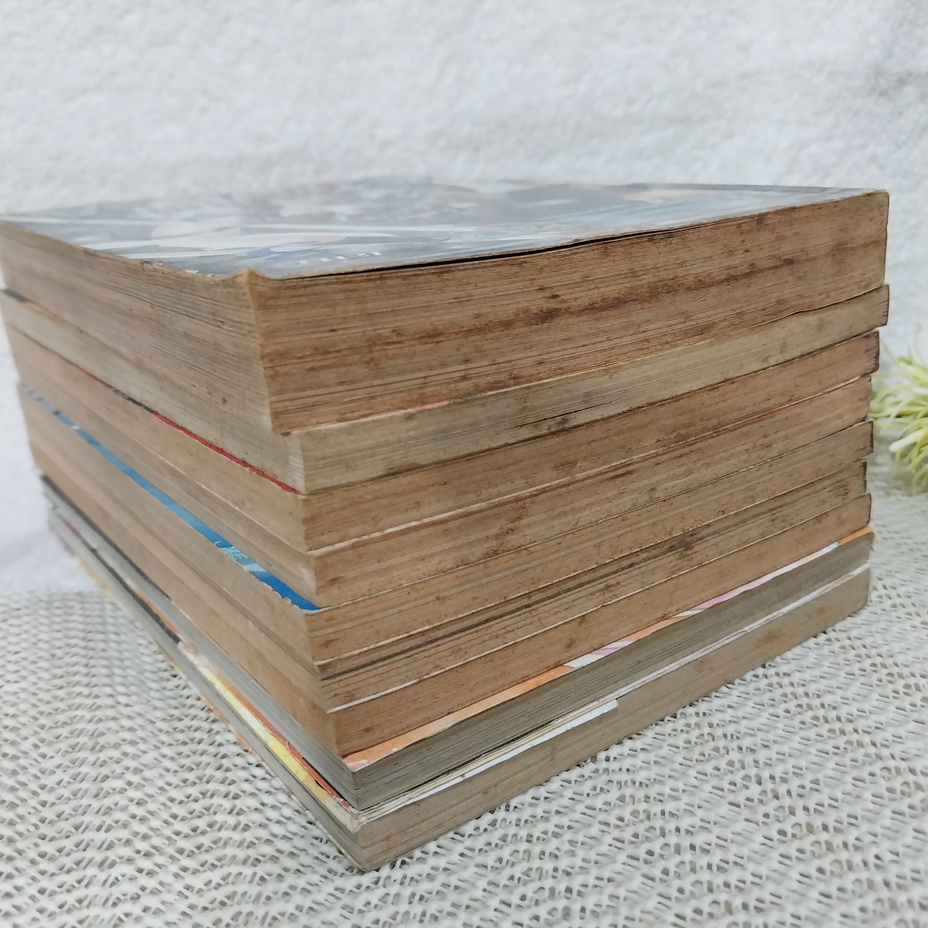 ศึกตำนานเทวะ RG VEDA 1-10 จบ / CLAMP