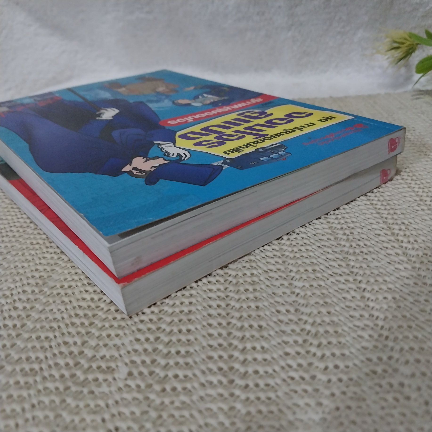 การ์ตูนยอดนักสืบ ชุด จอมโจรลูแปง (ขายแยกเล่ม)