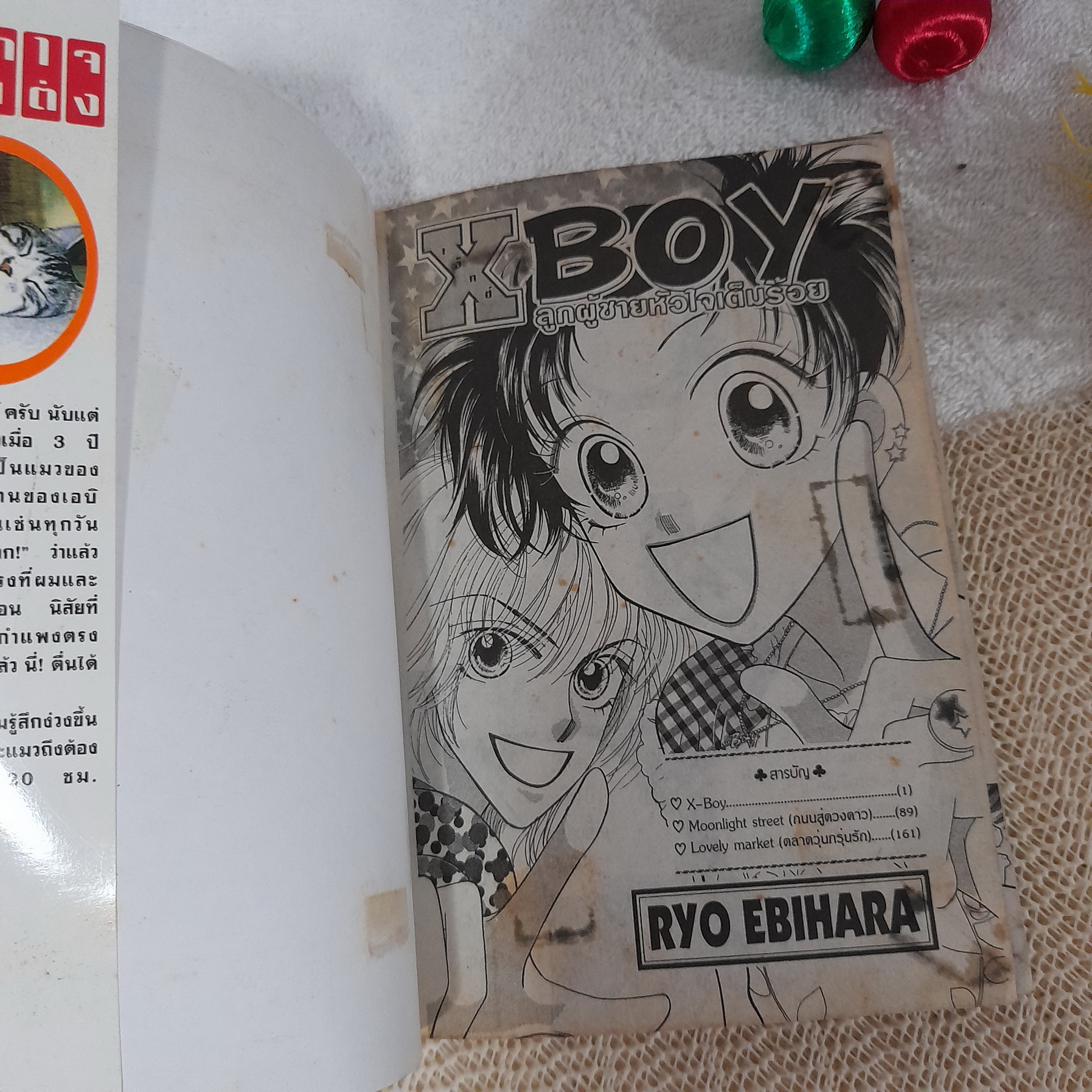 X Boy ลูกผู้ชายหัวใจเต็มร้อย / Ryo Ebihara