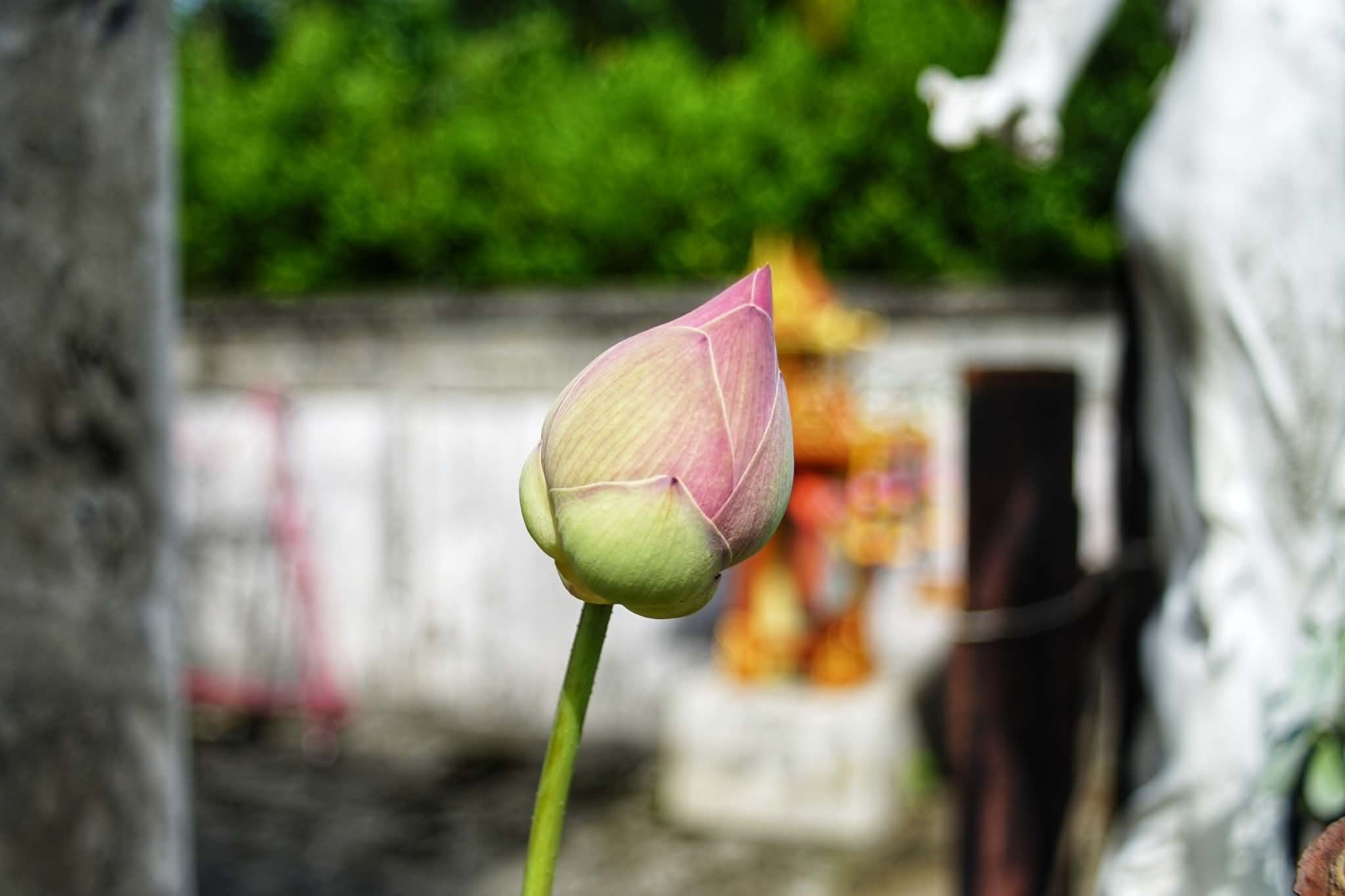 AUTO SUPER PARAGON PMC II 28MM.F2.8 M42 MOUNT