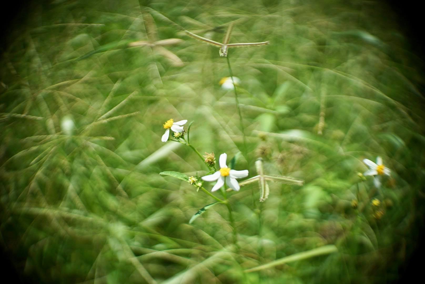 16KP-35MM.F1.2 MODIFLY SONY E MOUNT