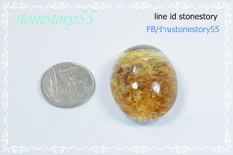 แก้วกาบสวยใสเนียน