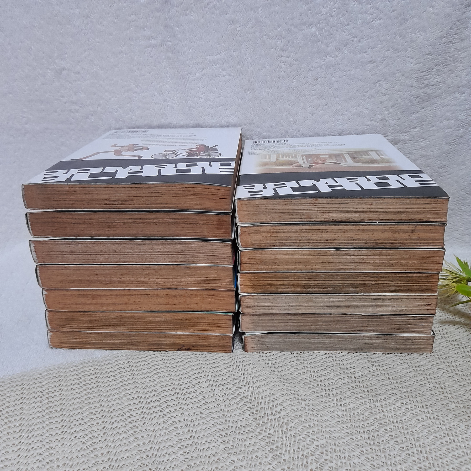 เคนโด้สาว Bamboo Blade 1-14 จบ