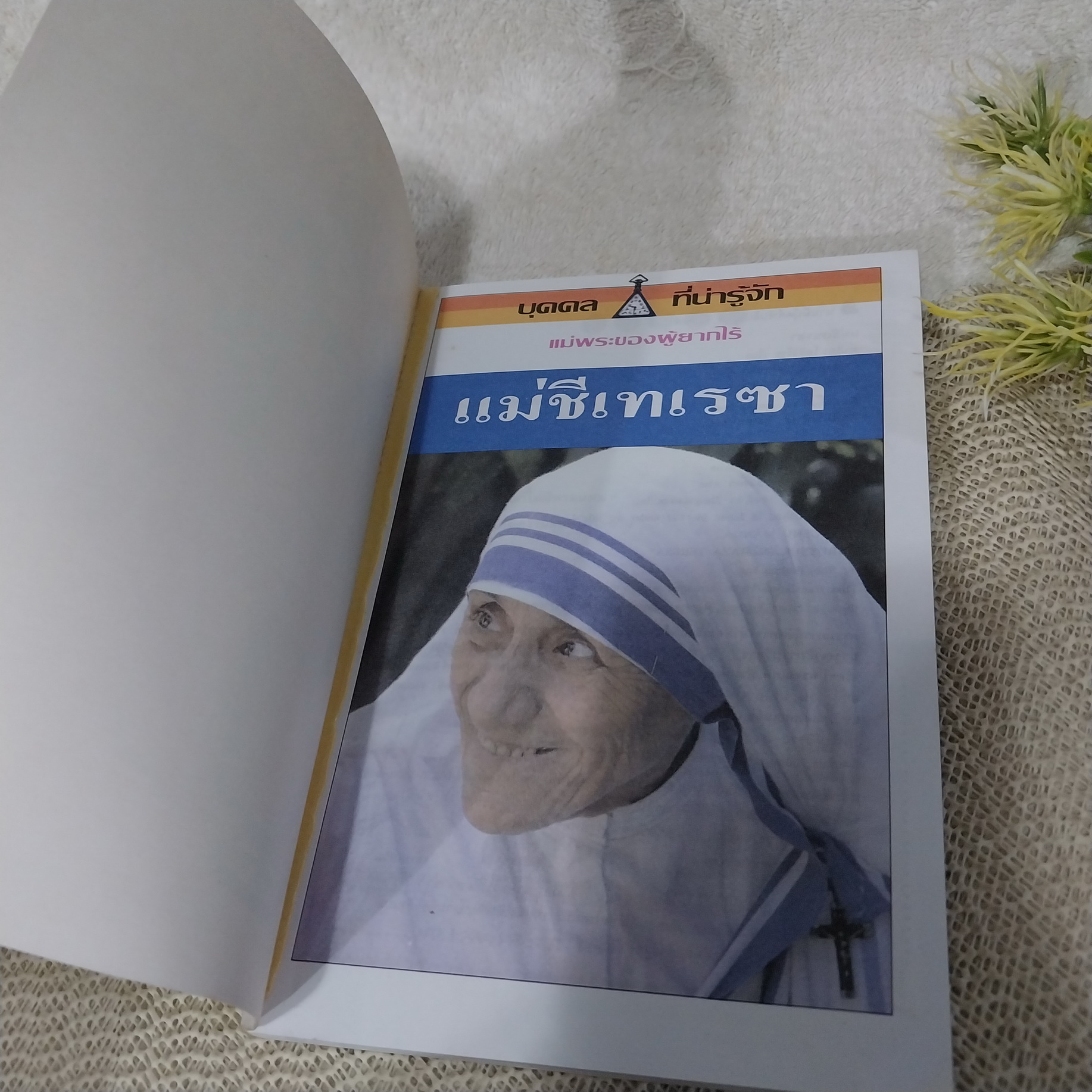 การ์ตูนชุด บุคคลที่น่ารู้จัก : แม่ชีเทเรซา