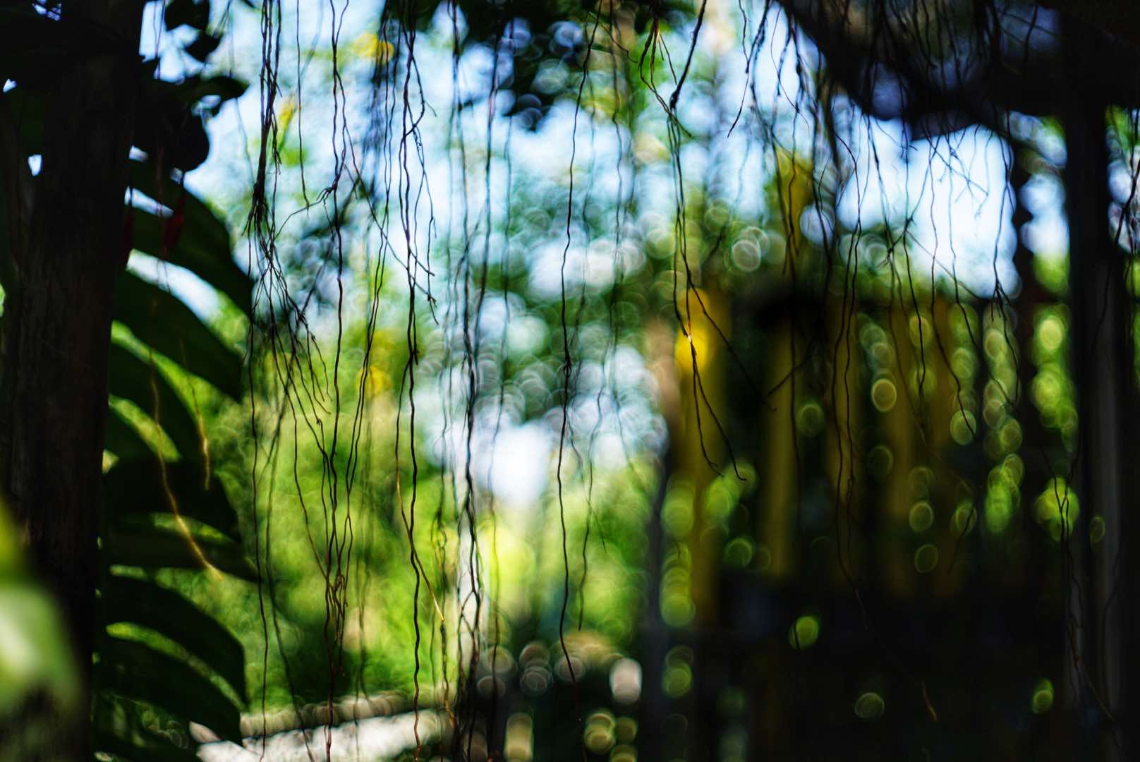 YASHICA COLOR YASHINON DX 40MM.F1.7 MODIFIED SONY E MOUNT