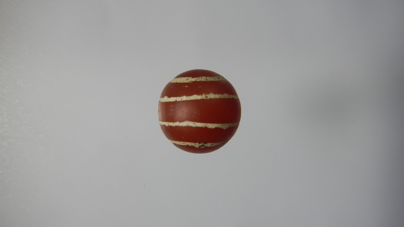 คาเนเลียนเขียนสีเม็ดที่3(ขายแล้ว)