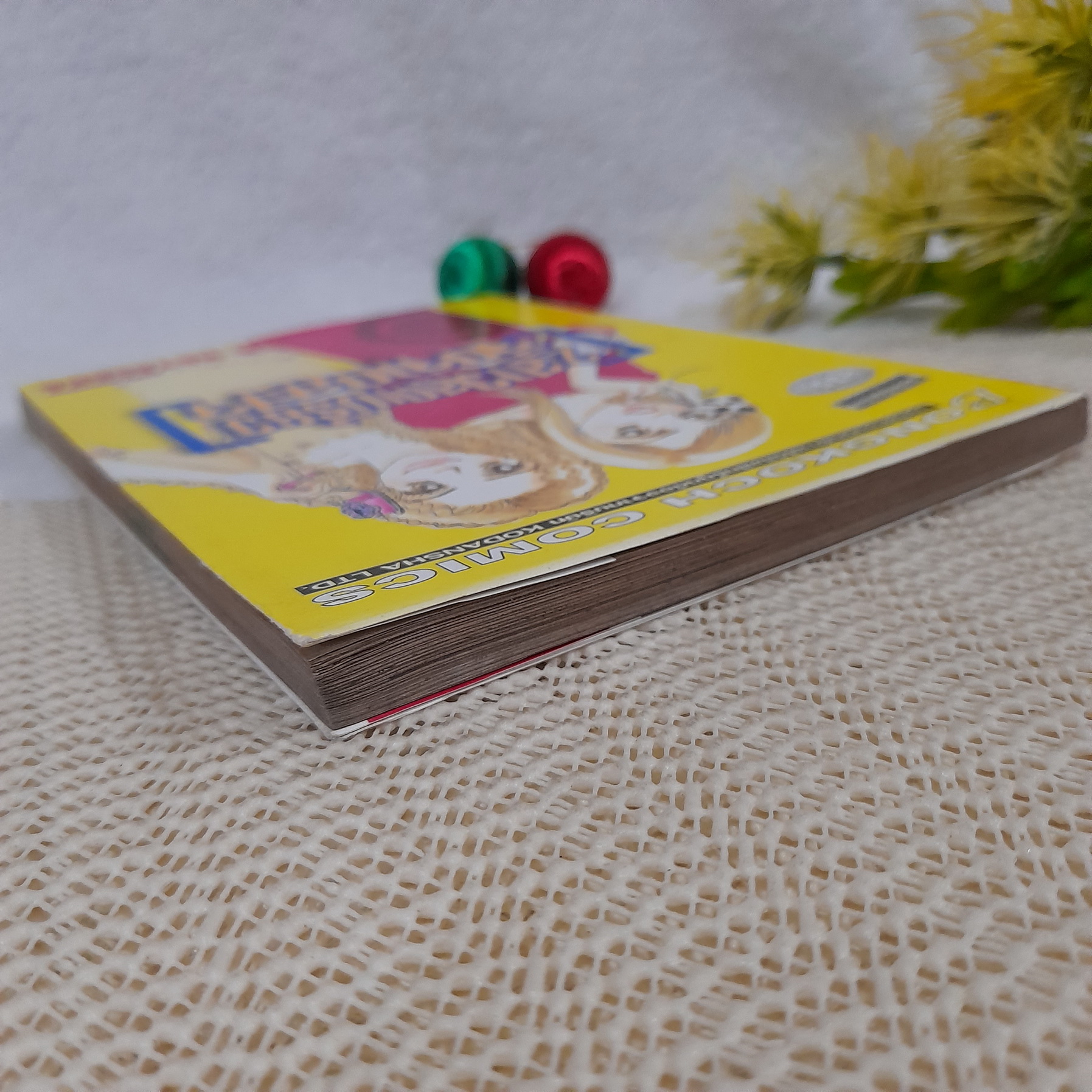 2 สาวสุดเปรี้ยวจี๊ดจ๊าดสะใจ / Ian Hayasaka