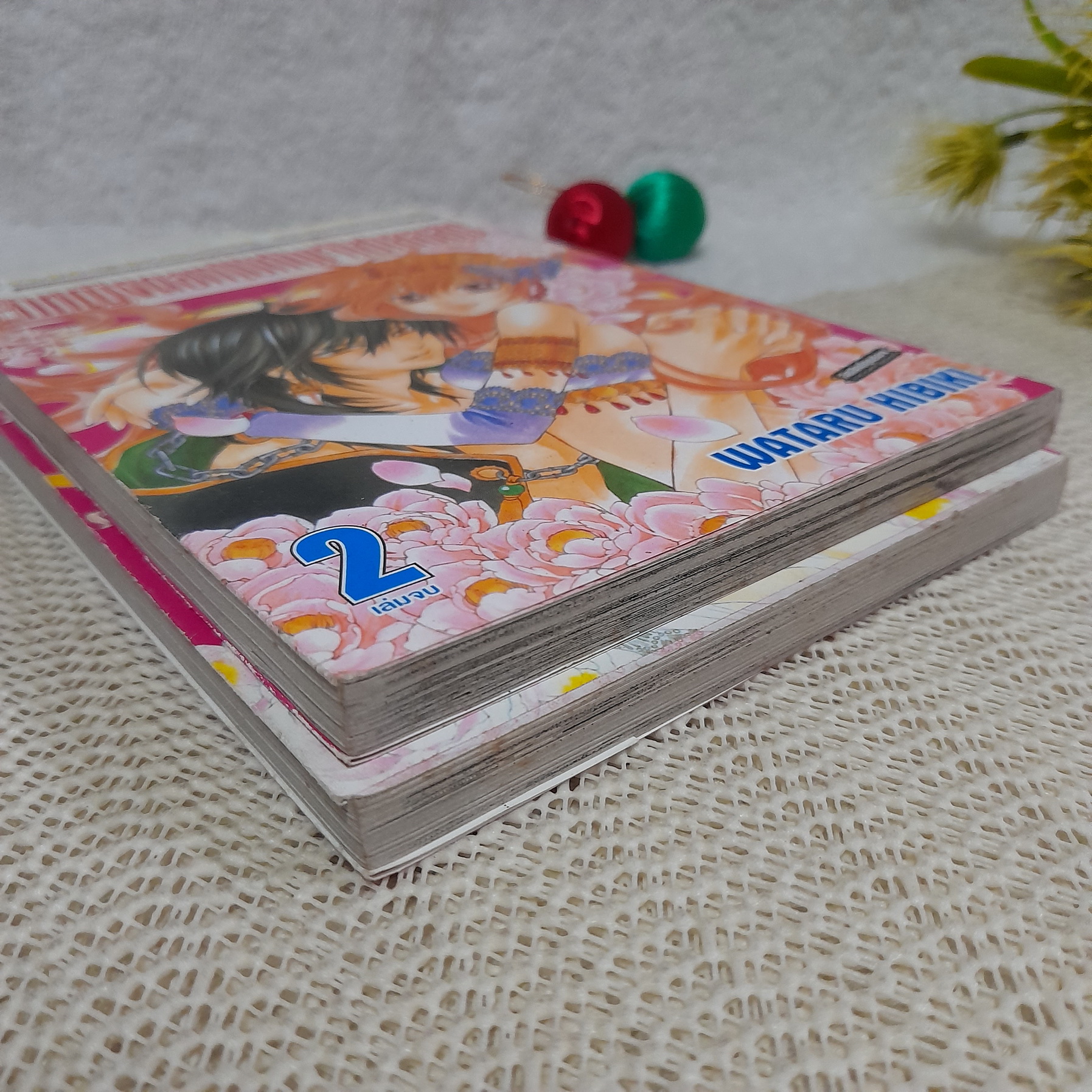 เจ้าหญิงดอกไม้กับเจ้าชายอสูร 1-2 จบ