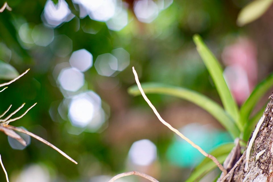 NIKON NIKKOR 85MM.F2 AI MOUNT