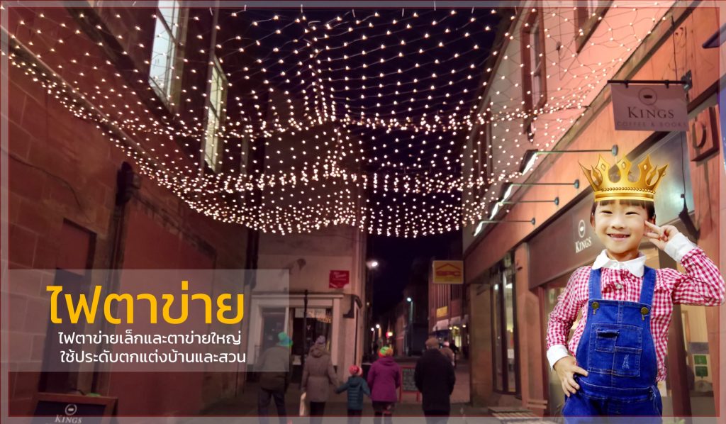 ไฟตาข่ายเล็ก ไฟตาข่าย LED ขนาด 1.5 x 1.5 เมตร ไฟประดับตกแต่ง