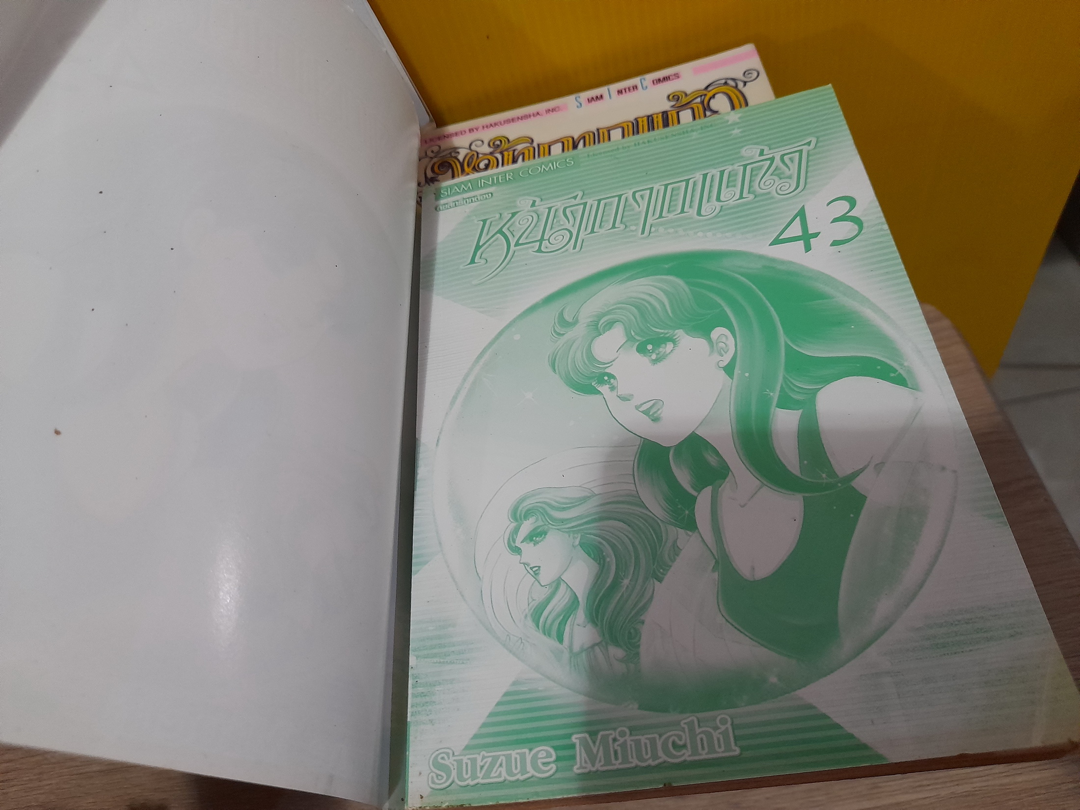 หน้ากากแก้ว 2,4-8,11,15,17,19-21,24,26,29,31-41,43 ไม่จบ (รวม 27 เล่ม)