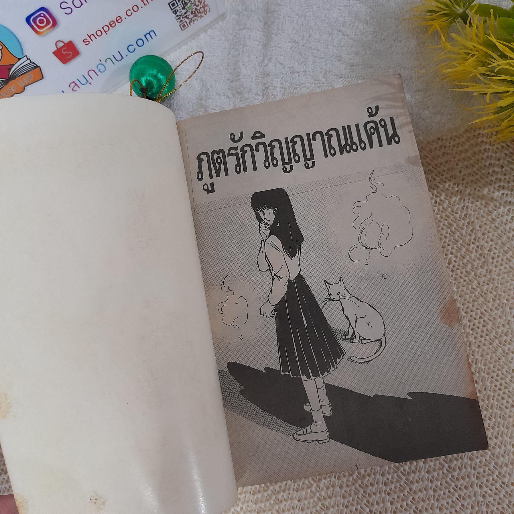 ภูติรักวิญญาณแค้น (เล่มเดียวจบ) / Shinohara Chie