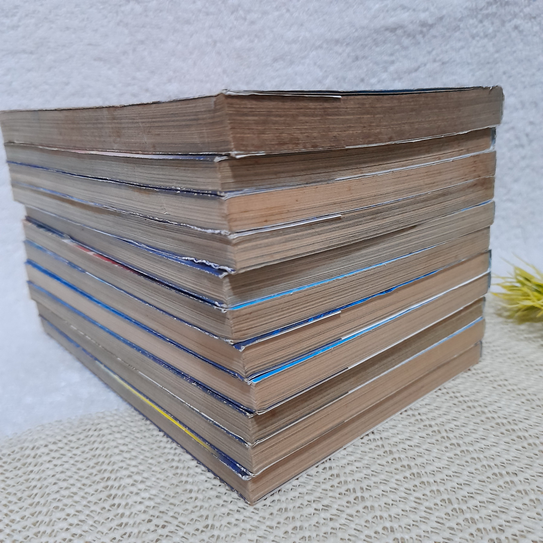 Tiger Hell ไทเกอร์เฮล จ้าวนักรบกลียุค 1-12 จบ / * ขาดเล่ม 11